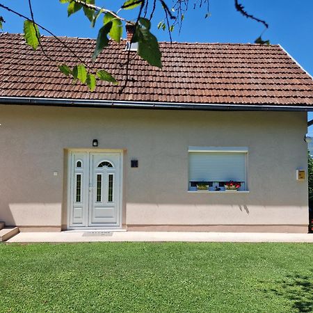 Kuca Za Odmor Dm Villa Bajina Basta Buitenkant foto