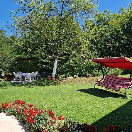 Kuca Za Odmor Dm Villa Bajina Basta Buitenkant foto