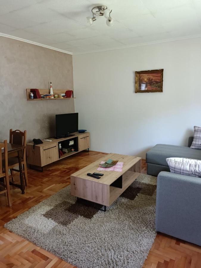 Kuca Za Odmor Dm Villa Bajina Basta Buitenkant foto