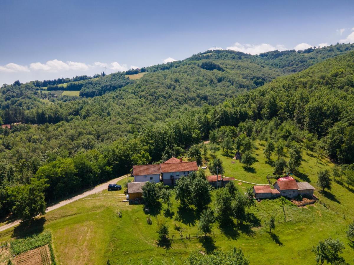 Kuca Za Odmor Dm Villa Bajina Basta Buitenkant foto