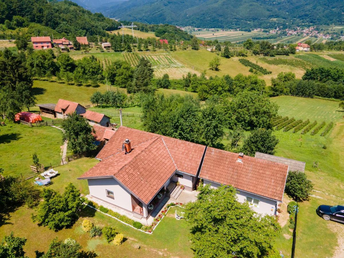 Kuca Za Odmor Dm Villa Bajina Basta Buitenkant foto